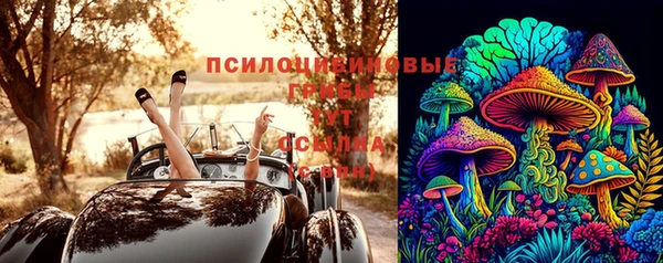 ГАЛЛЮЦИНОГЕННЫЕ ГРИБЫ Балабаново